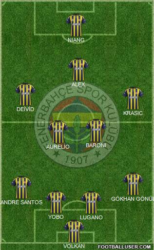 Fenerbahçe SK Formation 2012