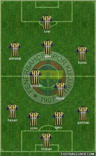 Fenerbahçe SK Formation 2012