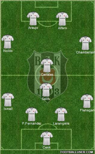 Besiktas JK Formation 2012