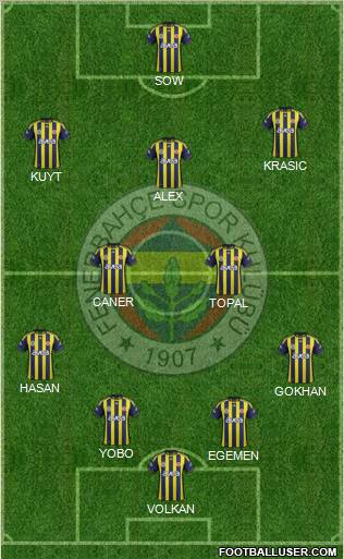 Fenerbahçe SK Formation 2012