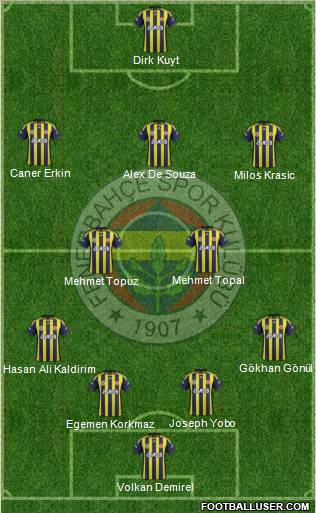 Fenerbahçe SK Formation 2012