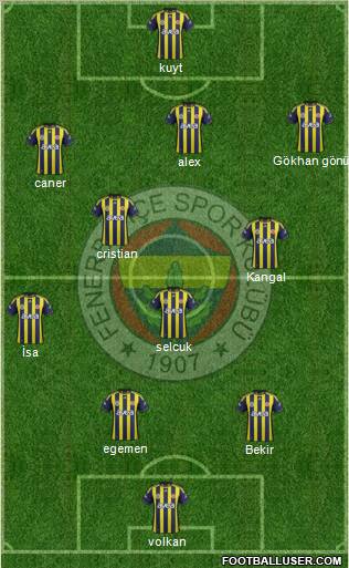 Fenerbahçe SK Formation 2012