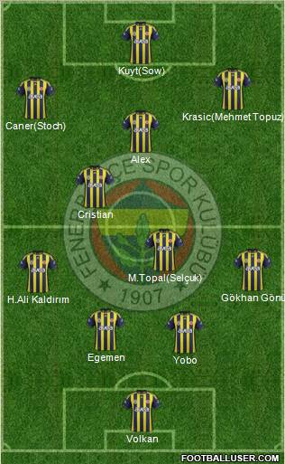 Fenerbahçe SK Formation 2012