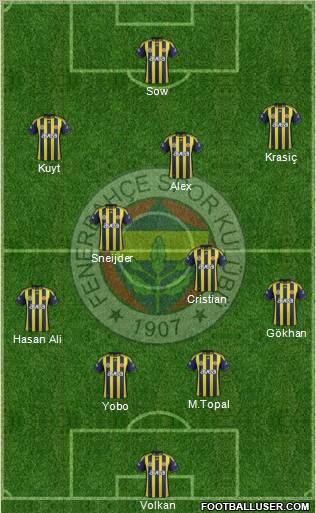 Fenerbahçe SK Formation 2012