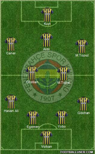 Fenerbahçe SK Formation 2012