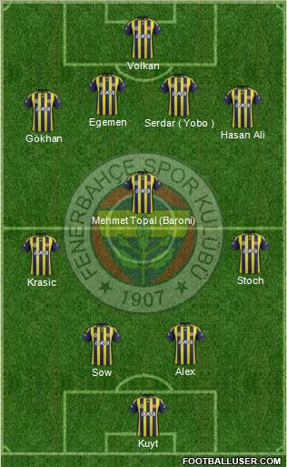 Fenerbahçe SK Formation 2012