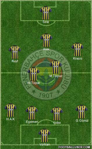 Fenerbahçe SK Formation 2012