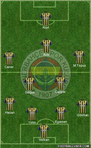 Fenerbahçe SK Formation 2012