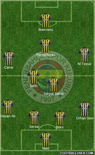 Fenerbahçe SK Formation 2012