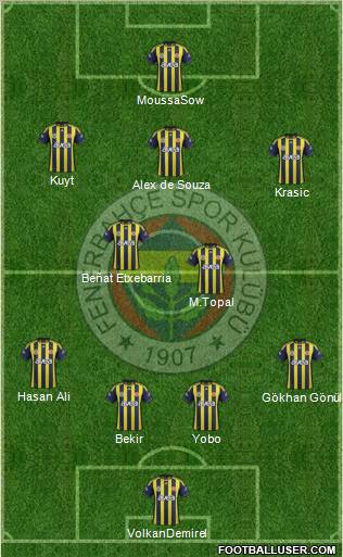 Fenerbahçe SK Formation 2012