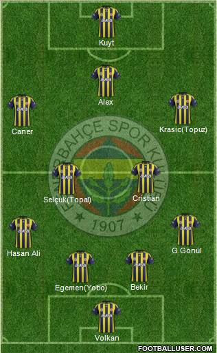 Fenerbahçe SK Formation 2012