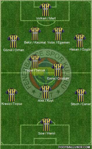 Fenerbahçe SK Formation 2012