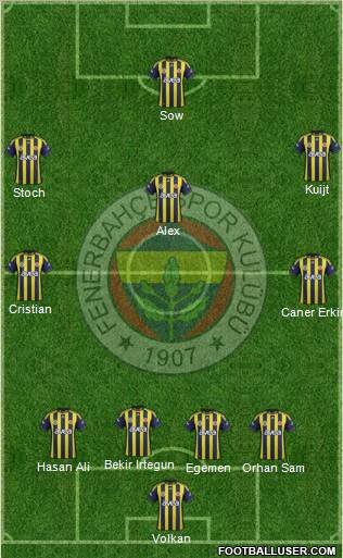 Fenerbahçe SK Formation 2012