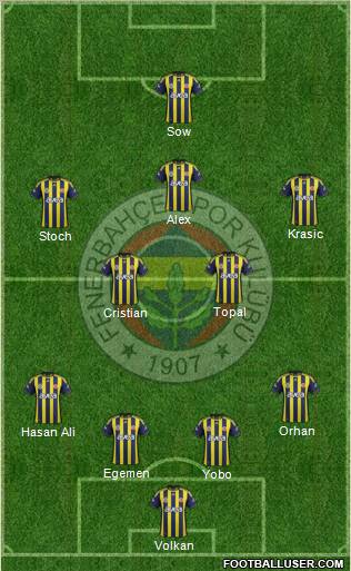 Fenerbahçe SK Formation 2012