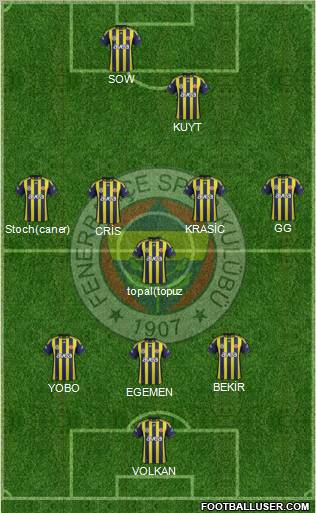 Fenerbahçe SK Formation 2012