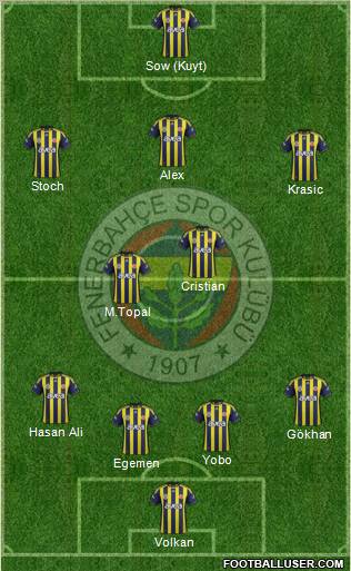 Fenerbahçe SK Formation 2012