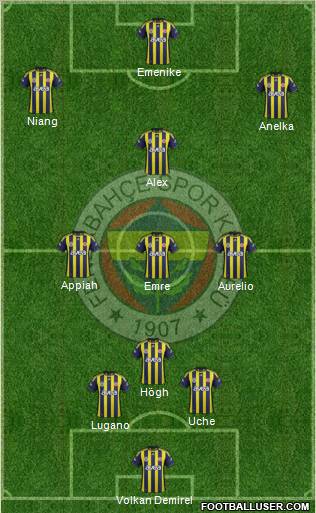 Fenerbahçe SK Formation 2012