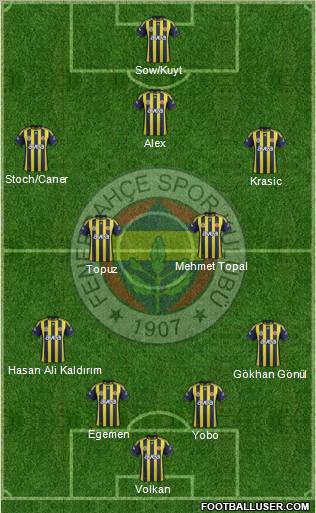 Fenerbahçe SK Formation 2012