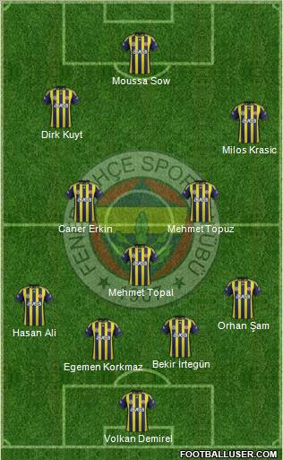 Fenerbahçe SK Formation 2012