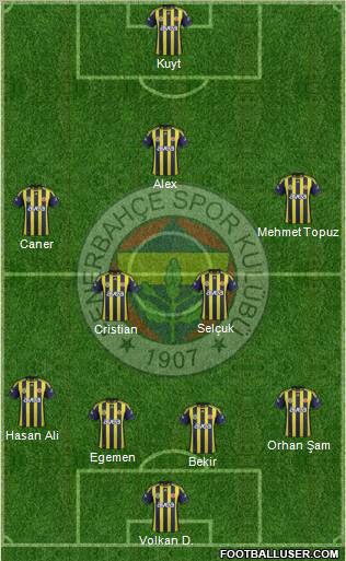 Fenerbahçe SK Formation 2012