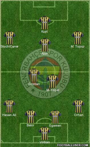 Fenerbahçe SK Formation 2012