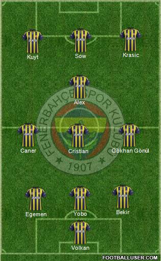 Fenerbahçe SK Formation 2012