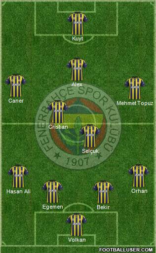 Fenerbahçe SK Formation 2012