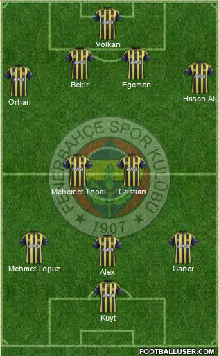 Fenerbahçe SK Formation 2012