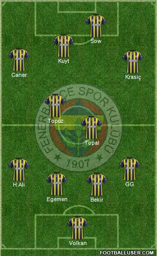 Fenerbahçe SK Formation 2012