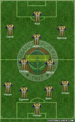 Fenerbahçe SK Formation 2012
