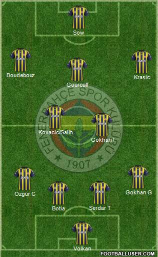 Fenerbahçe SK Formation 2012