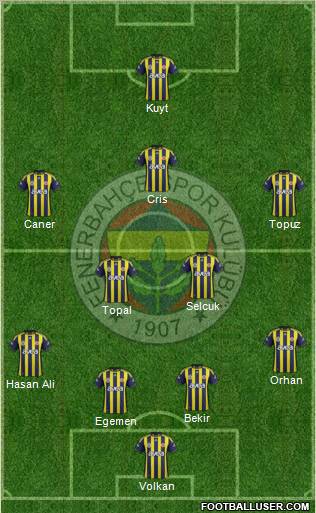 Fenerbahçe SK Formation 2012