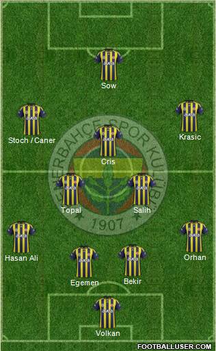 Fenerbahçe SK Formation 2012