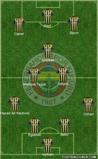 Fenerbahçe SK Formation 2012