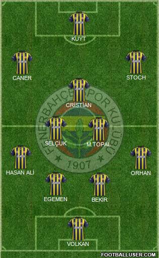 Fenerbahçe SK Formation 2012