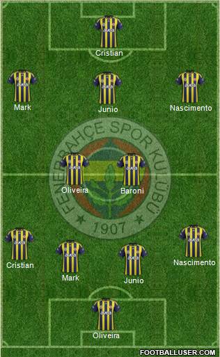 Fenerbahçe SK Formation 2012