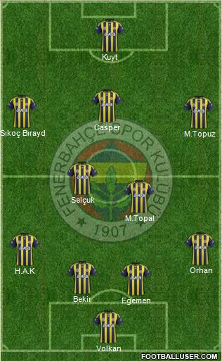 Fenerbahçe SK Formation 2012