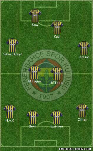 Fenerbahçe SK Formation 2012