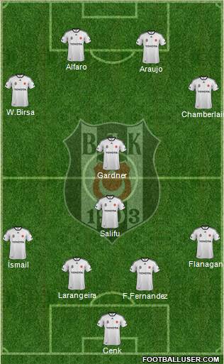 Besiktas JK Formation 2012