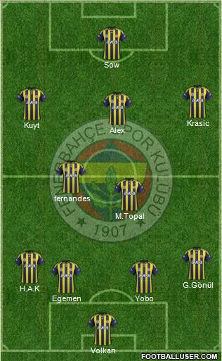 Fenerbahçe SK Formation 2012