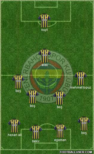 Fenerbahçe SK Formation 2012