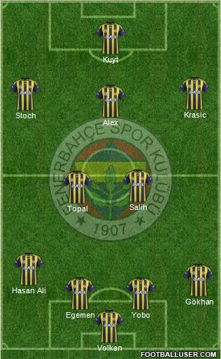 Fenerbahçe SK Formation 2012