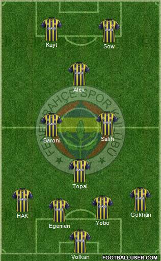 Fenerbahçe SK Formation 2012