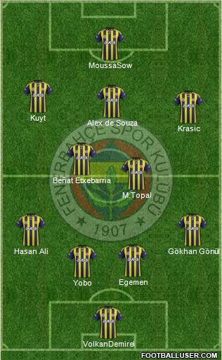 Fenerbahçe SK Formation 2012