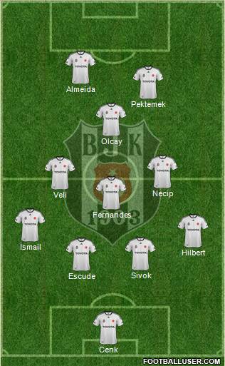 Besiktas JK Formation 2012