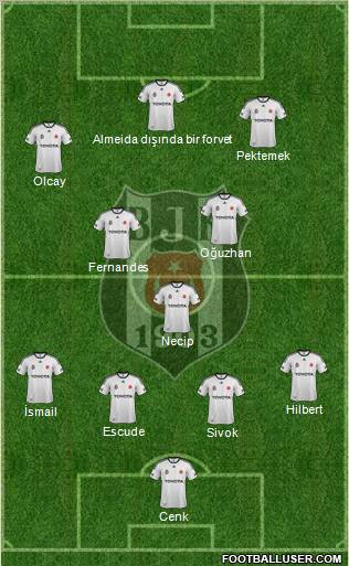 Besiktas JK Formation 2012