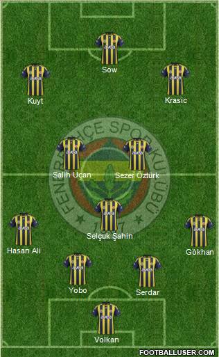 Fenerbahçe SK Formation 2012