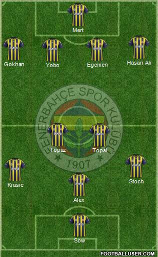 Fenerbahçe SK Formation 2012