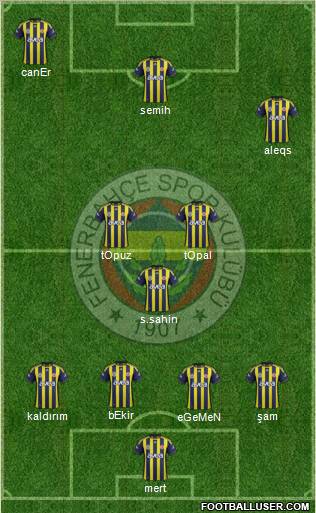 Fenerbahçe SK Formation 2012