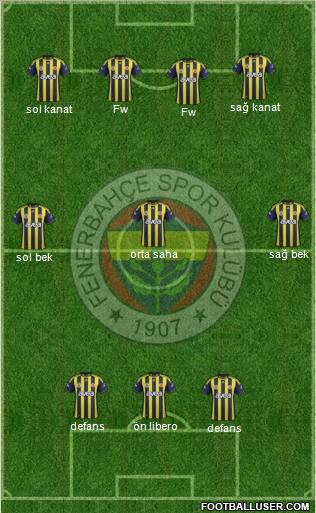 Fenerbahçe SK Formation 2012
